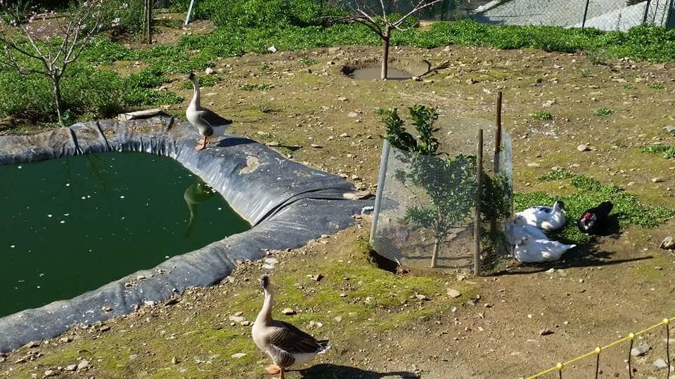 Casa Grande Covelinhasヴィラ エクステリア 写真