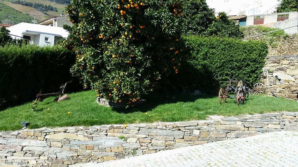 Casa Grande Covelinhasヴィラ エクステリア 写真